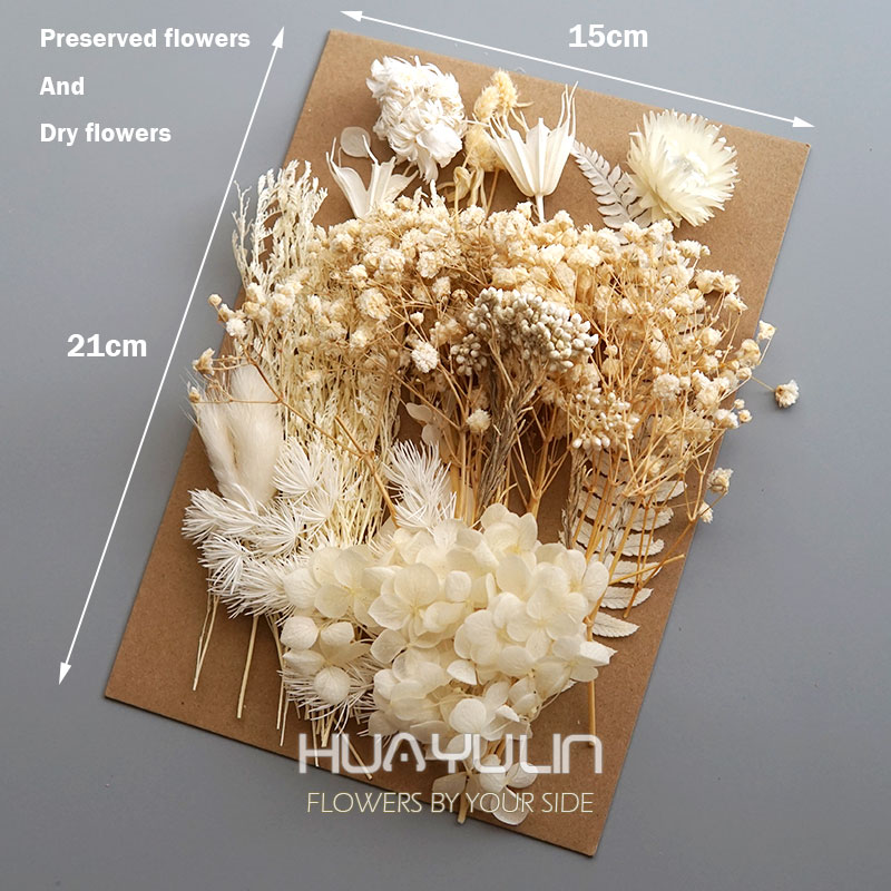 1 パック人工植物ドライ本物の花プリザーブド材料エポキシ樹脂 - Baby Products Set のレビューと価格